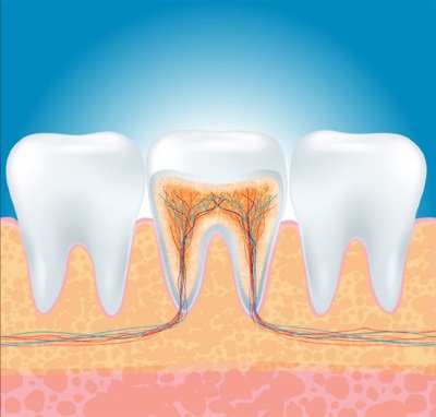 Root canals
